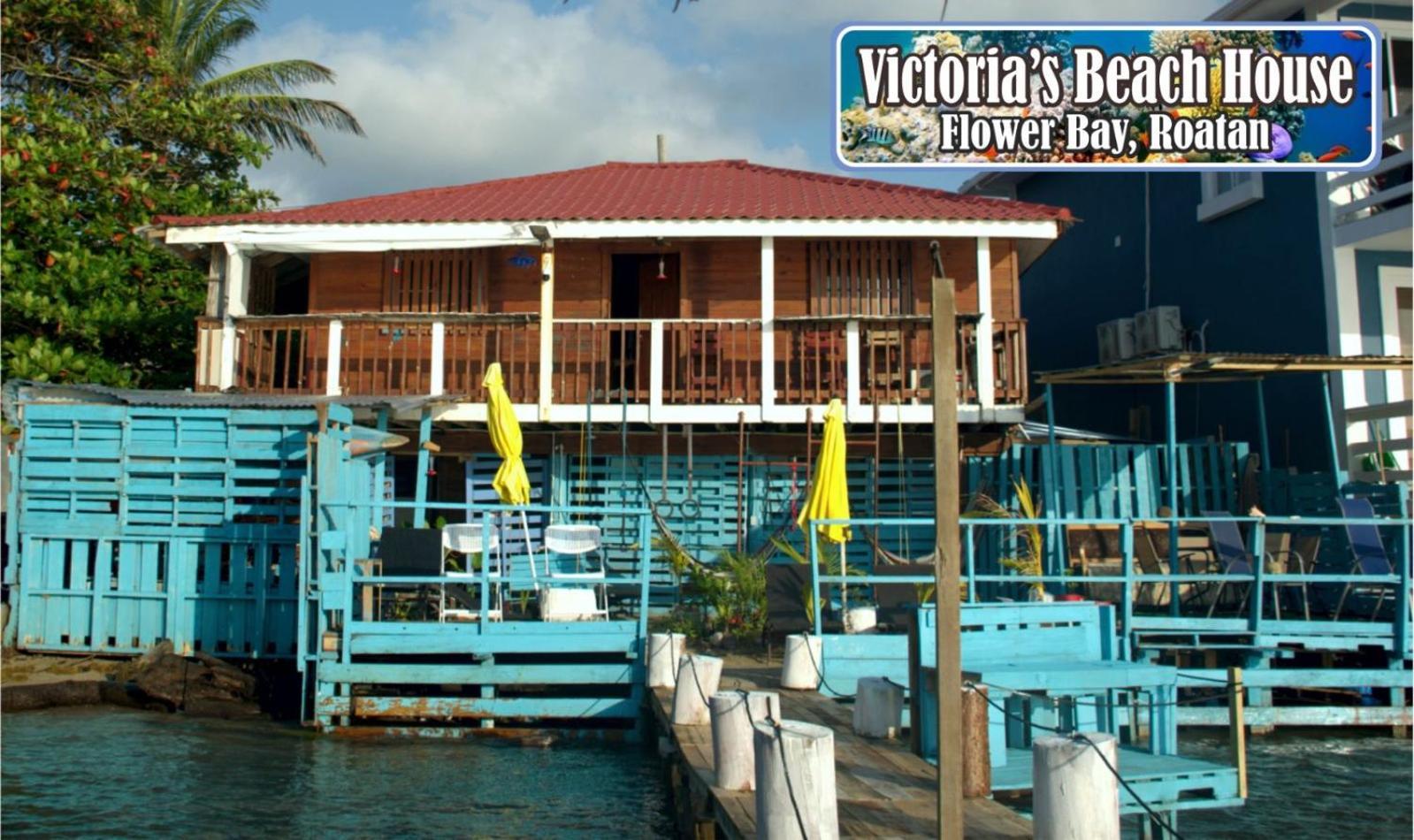 Victoria S Beach House And Snorkeling Center Flowers Bay Exterior foto